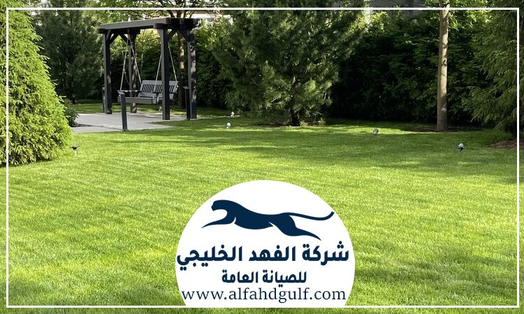 شركة تركيب ترتان في بني ياس