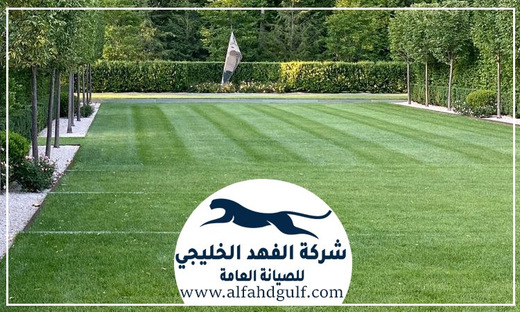 شركة تركيب ترتان في بني ياس