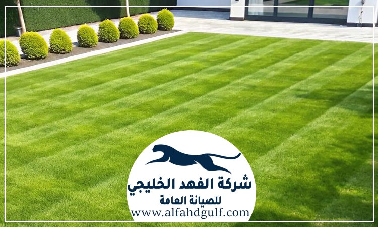 شركة تركيب ترتان في البرشاء