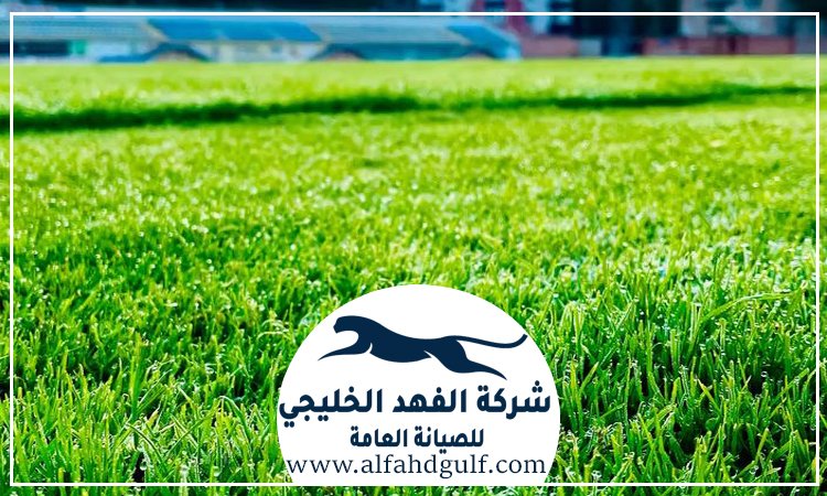 شركة تركيب عشب صناعي في الشارقة