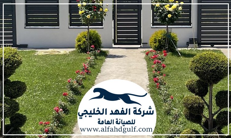 شركة تركيب ترتان في البرشاء