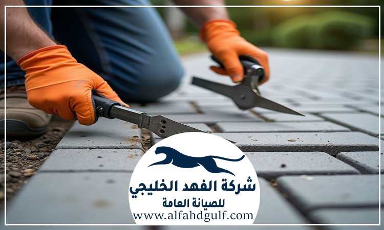 تركيب الانترلوك للحوش