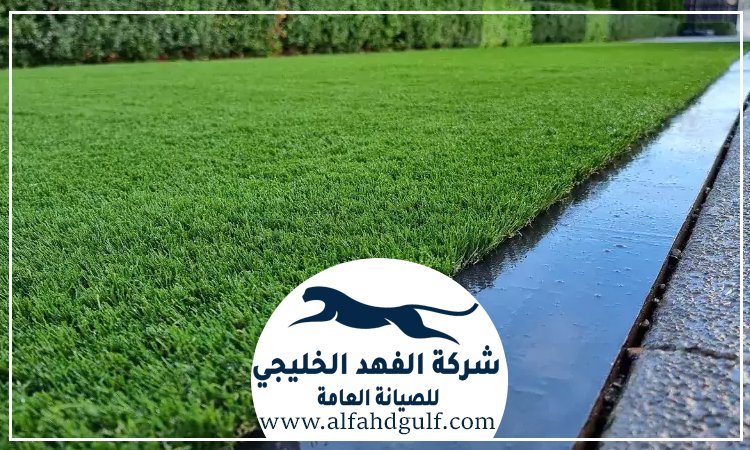 تركيب عشب صناعي في ام القيوين