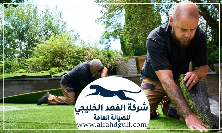 تركيب عشب صناعي في عجمان