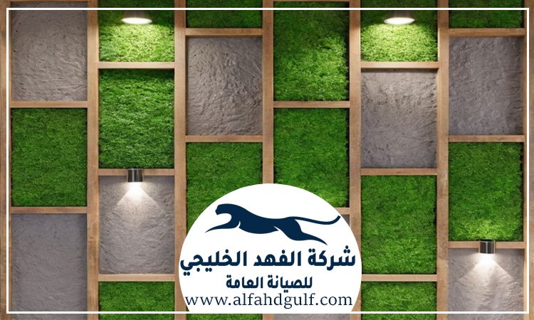 تركيب عشب جداري في عجمان