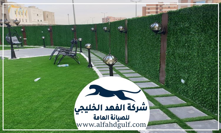 تركيب عشب جداري في ام القيوين