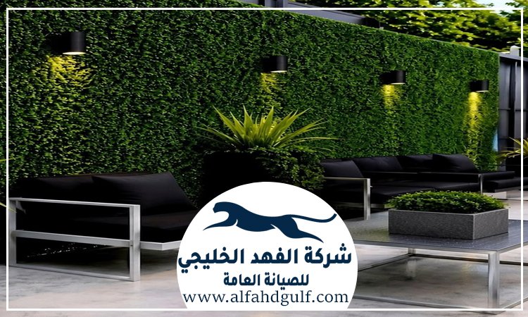 تركيب عشب جداري في ام القيوين
