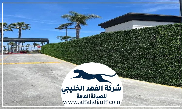 تركيب عشب جداري في الفجيرة