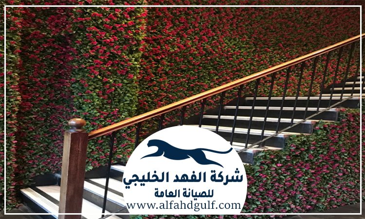 تركيب عشب جداري في الشامخة