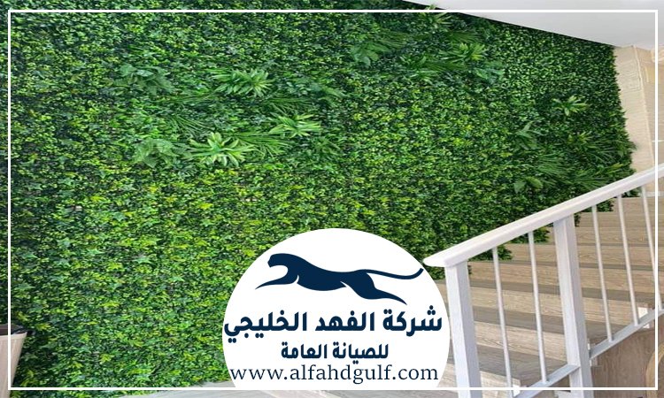 تركيب عشب جداري في الشامخة