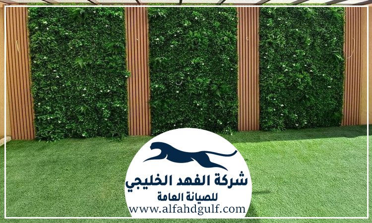 تركيب عشب جداري في مصفح