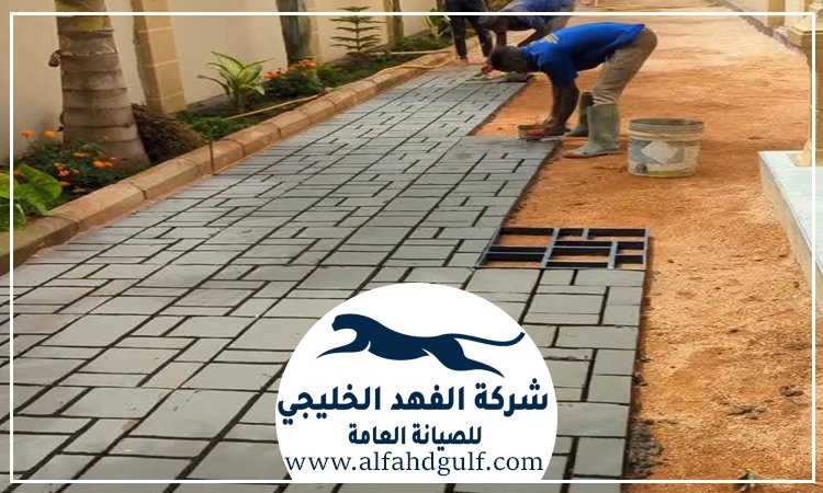 تركيب بلاط في أم القيوين