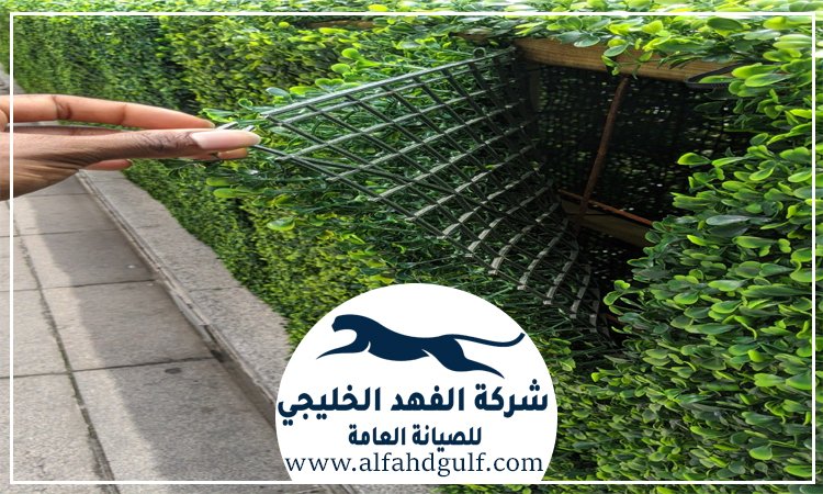 تركيب عشب جداري في كلباء