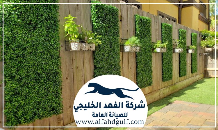 تركيب عشب جداري في ابوظبي