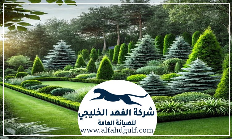 شركة لاندسكيب في الشهامة