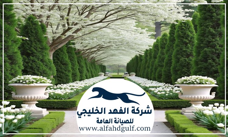 شركة لاندسكيب في الشهامة
