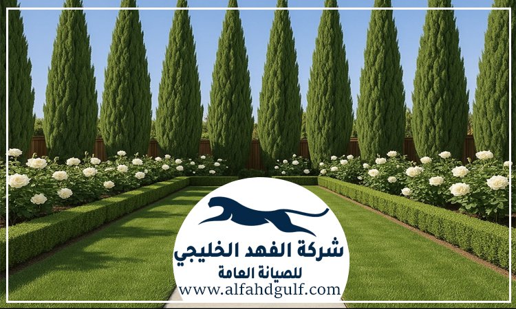 شركة لاندسكيب في الرحبة