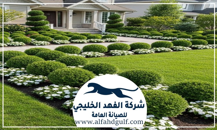 شركة لاندسكيب في عجمان