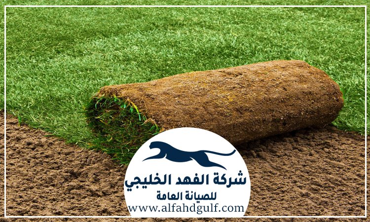 تركيب عشب طبيعي في الشارقة