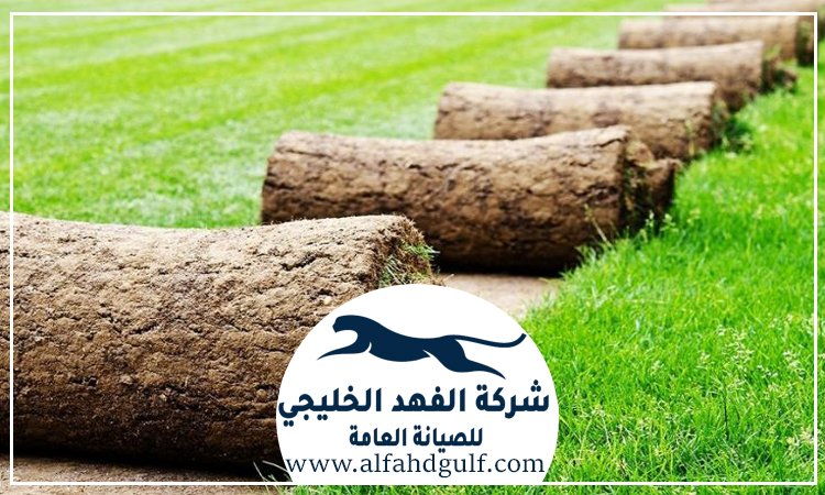 تركيب عشب طبيعي في ابوظبي