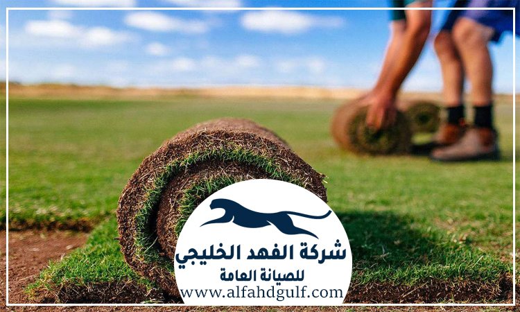 تركيب عشب طبيعي في دبي