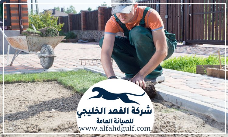 تركيب عشب طبيعي