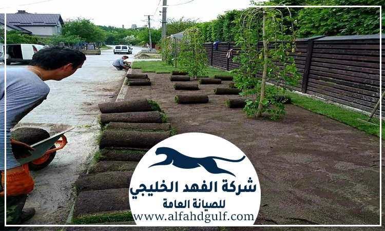 تركيب عشب طبيعي في ابوظبي