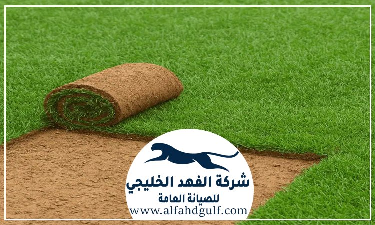 تركيب عشب طبيعي في دبي