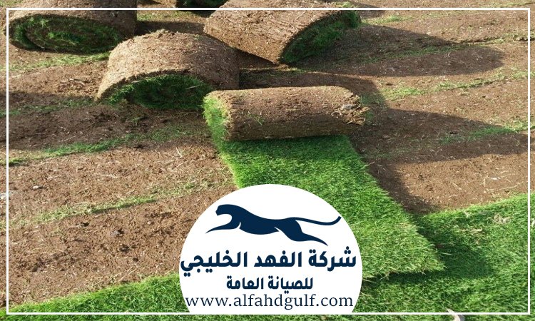 تركيب عشب طبيعي في الشارقة