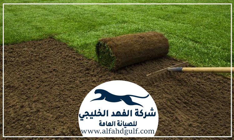 تركيب عشب طبيعي