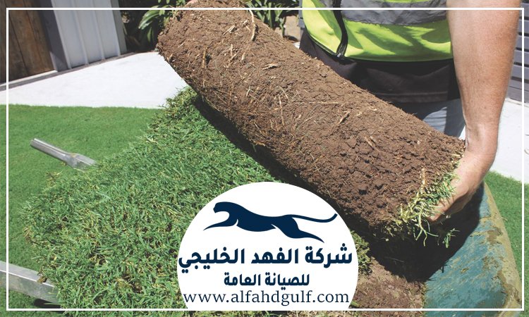 تركيب عشب طبيعي