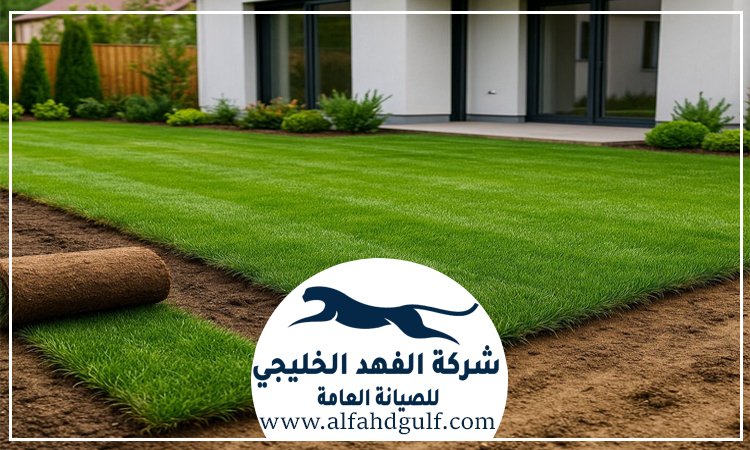 تركيب عشب طبيعي