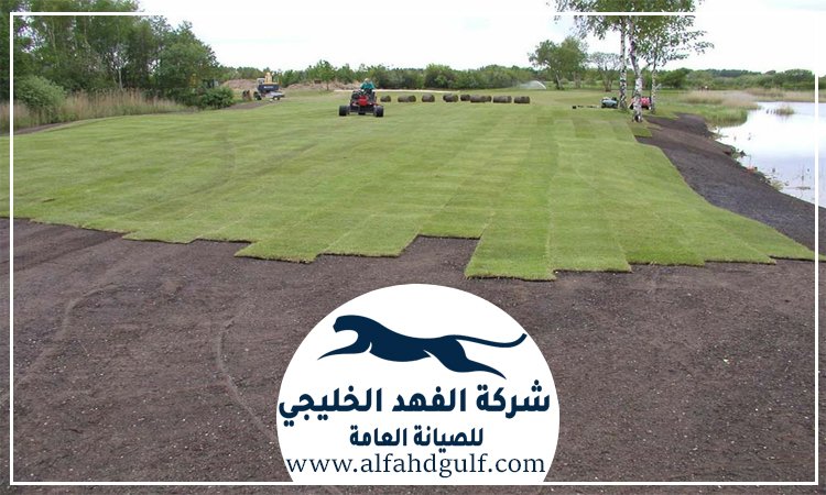تركيب عشب طبيعي في دبي