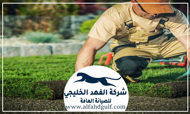 تركيب عشب طبيعي في ابوظبي