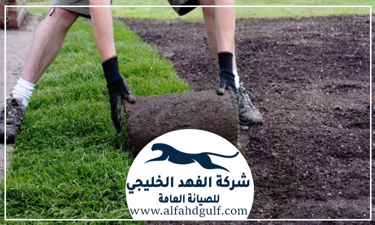 تركيب عشب طبيعي في الشارقة