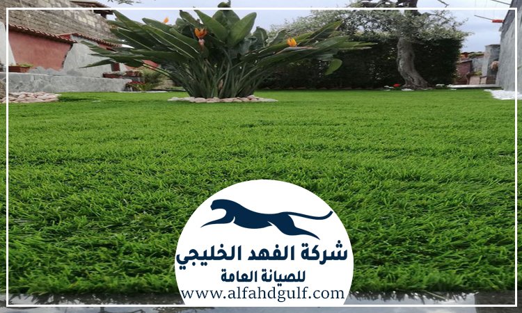 تركيب عشب طبيعي في الفجيرة